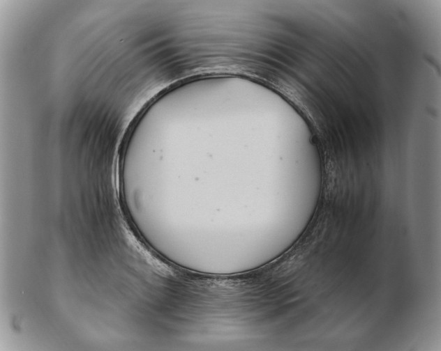 X0000102761084200809021002