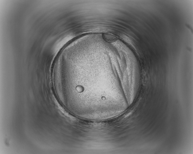 X0000102761087200809021002