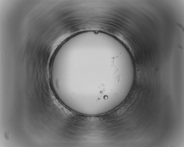 X0000102761088200809021002