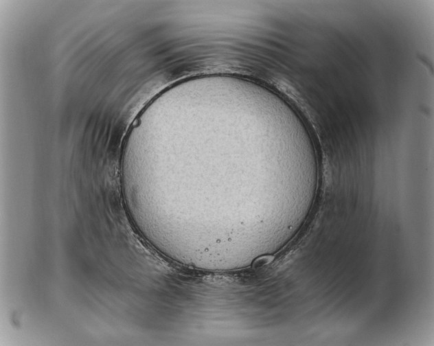 X0000102761089200809021002