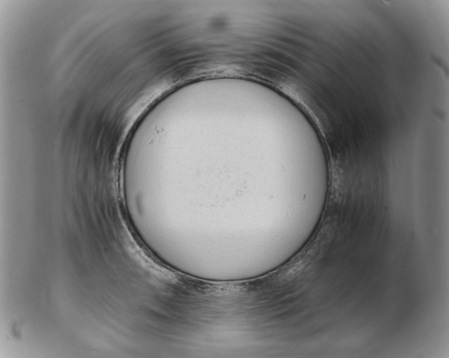 X0000102761090200809021002