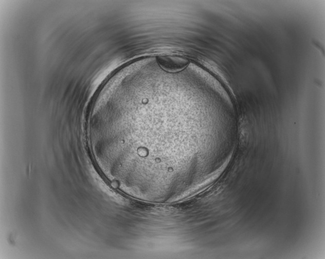 X0000102761091200809021002