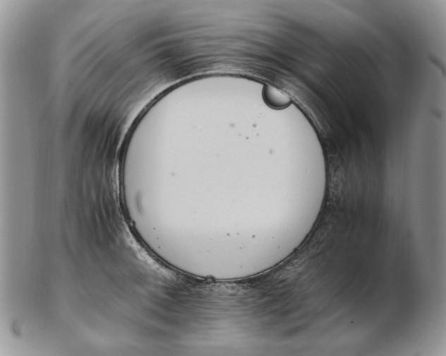 X0000102761092200809021002