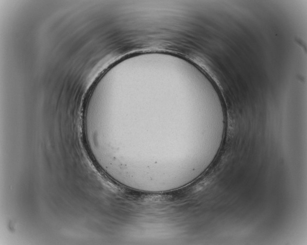 X0000102761093200809021002