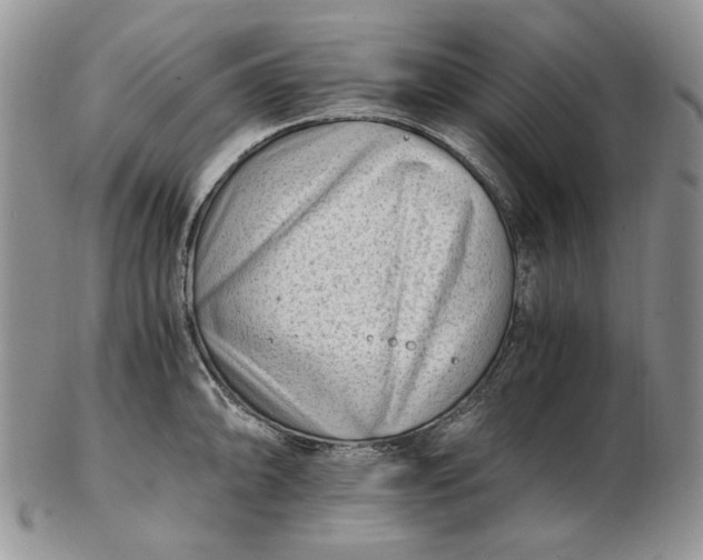 X0000102761094200809021002