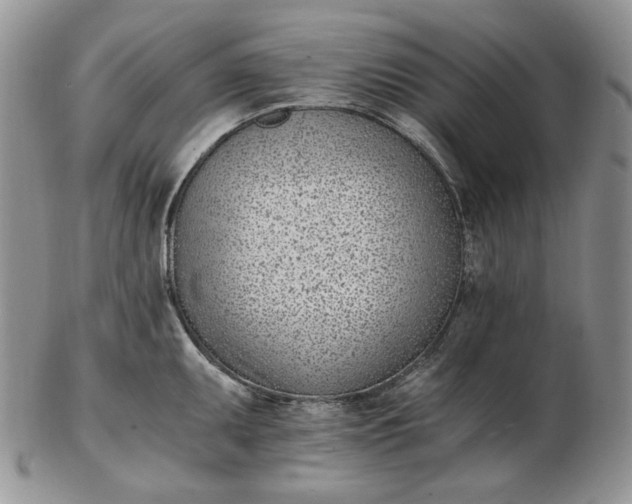 X0000102761095200809021002