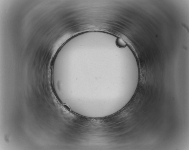 X0000102761096200809021002