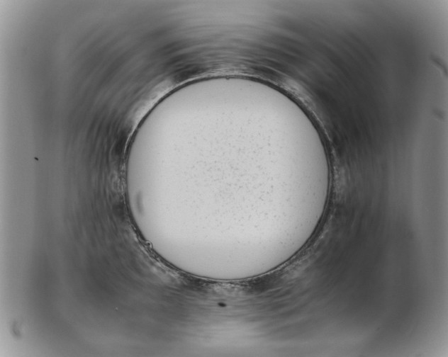 X0000102761097200809021002