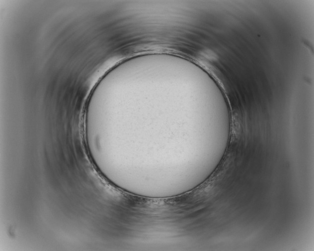 X0000102761098200809021002