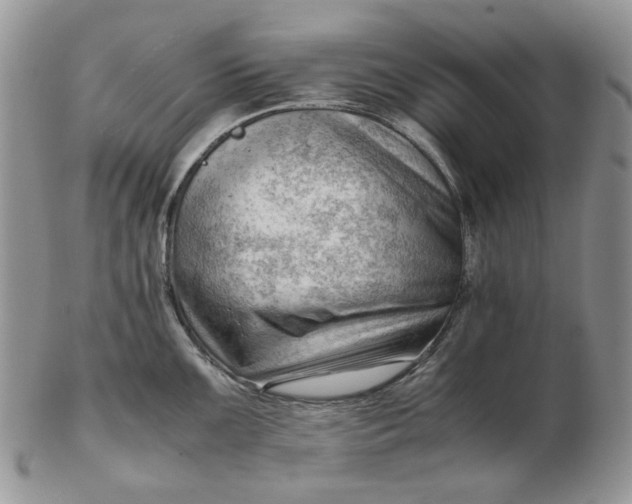 X0000102761099200809021002