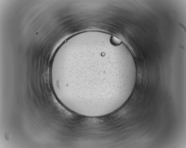 X0000102761100200809021002