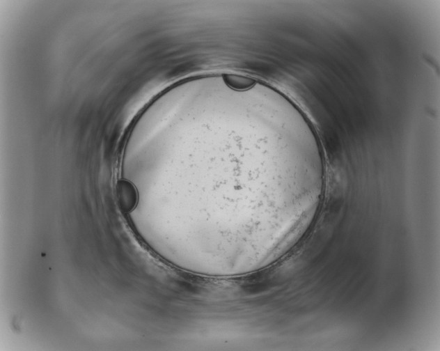 X0000102761101200809021002