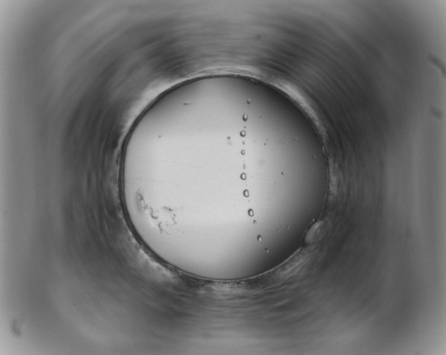 X0000102761102200809021002