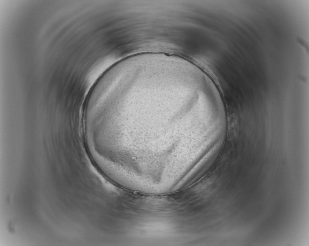 X0000102761103200809021002