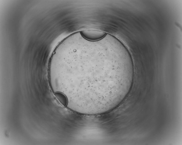 X0000102761104200809021002