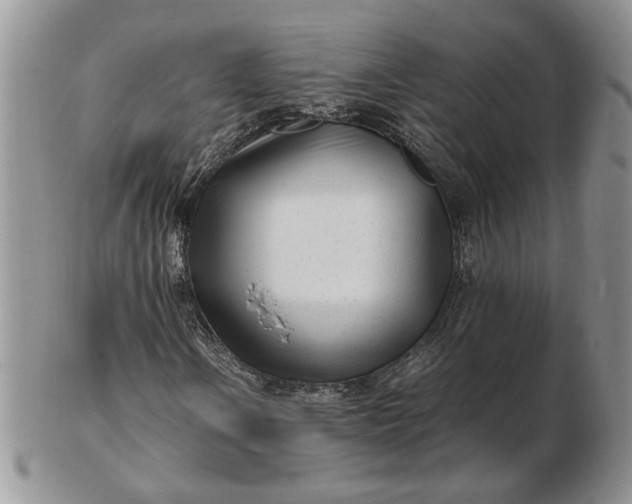 X0000102761106200809021001