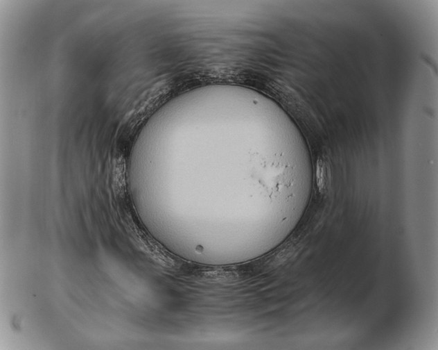 X0000102761107200809021001