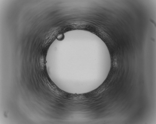 X0000102761108200809021001