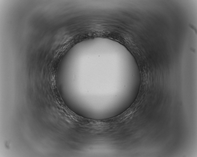 X0000102761109200809021001