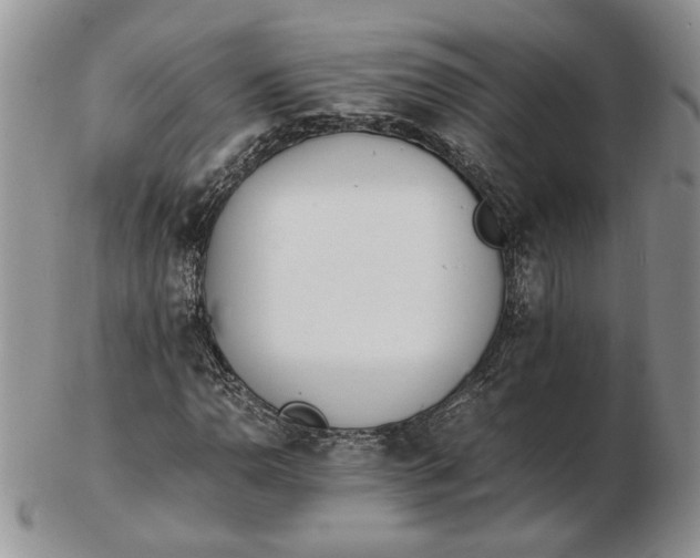 X0000102761110200809021001