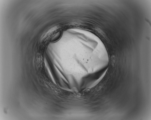 X0000102761111200809021001