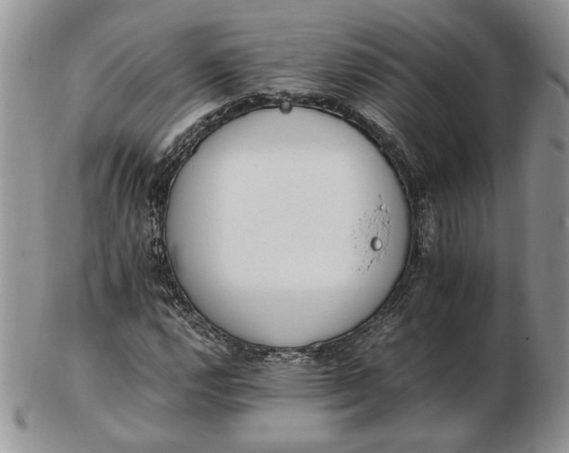 X0000102761112200809021001