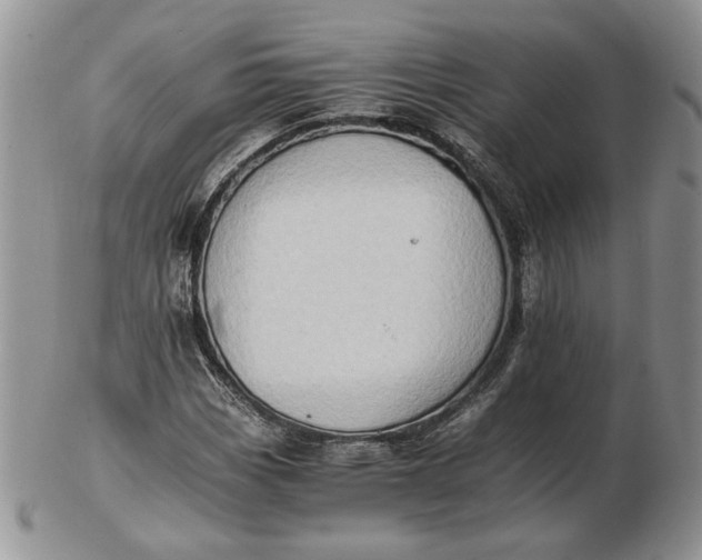 X0000102761113200809021001