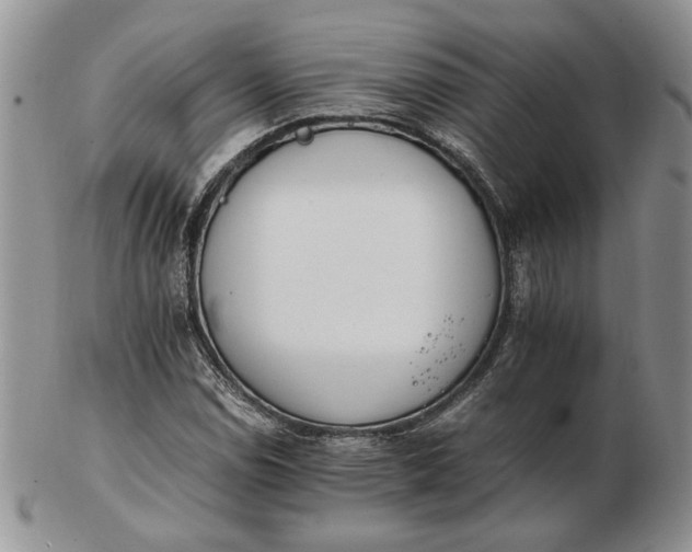 X0000102761114200809021001