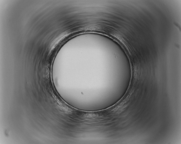 X0000102761115200809021001