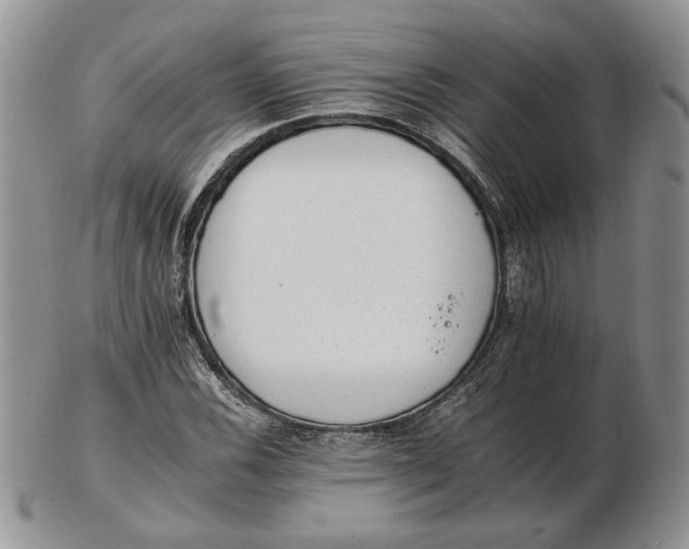 X0000102761116200809021001