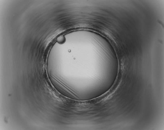 X0000102761117200809021001