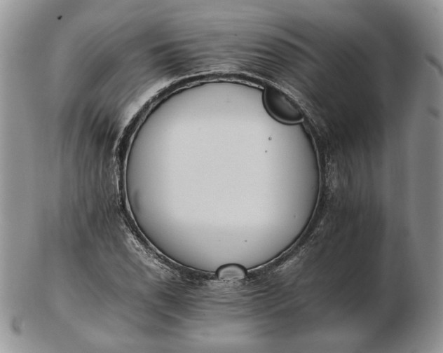 X0000102761118200809021001