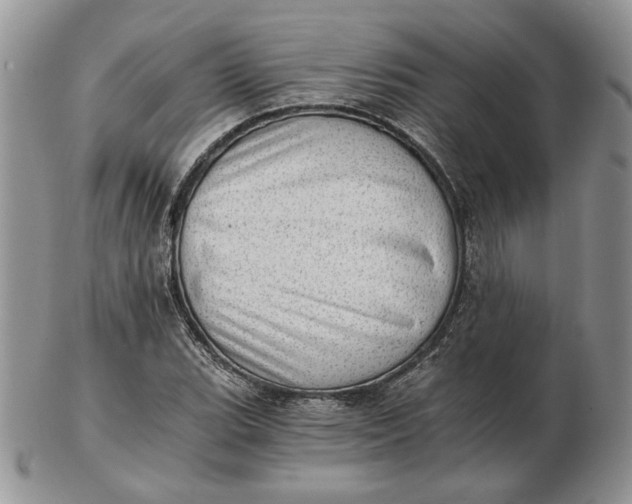 X0000102761119200809021001