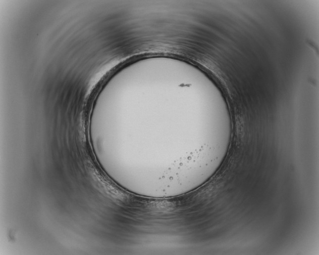 X0000102761120200809021001