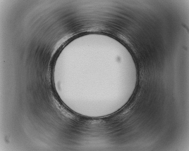 X0000102761122200809021001