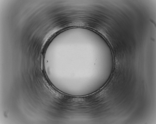 X0000102761123200809021001