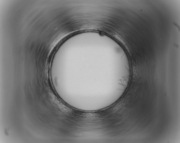 X0000102761124200809021001