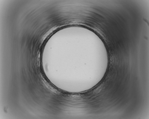 X0000102761126200809021001