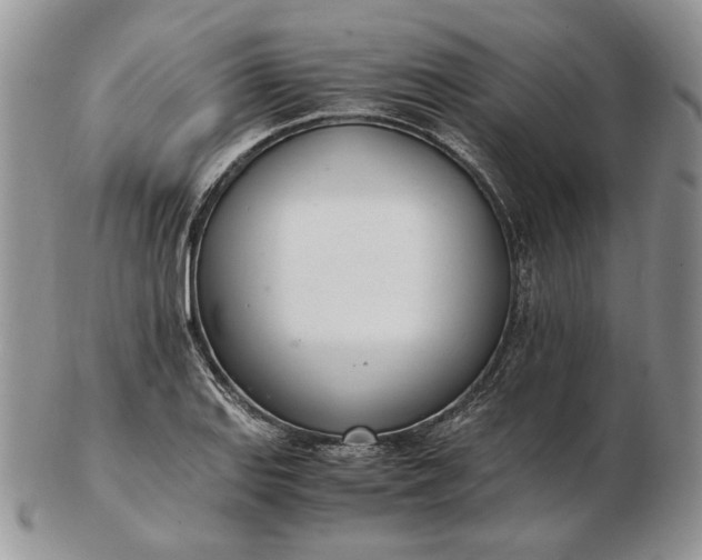 X0000102761127200809021001