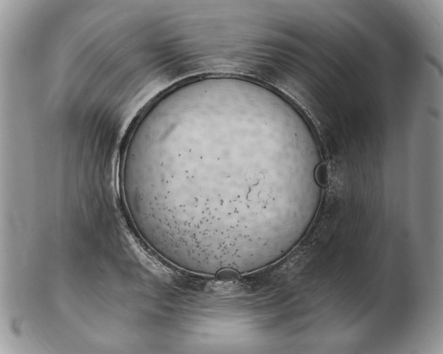 X0000102761128200809021001