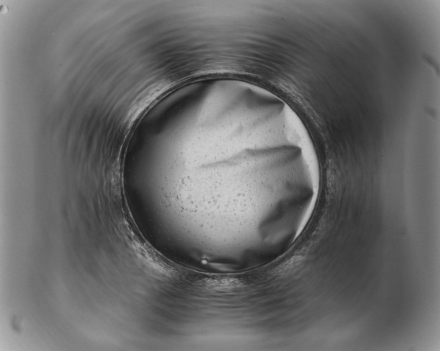 X0000102761129200809021001