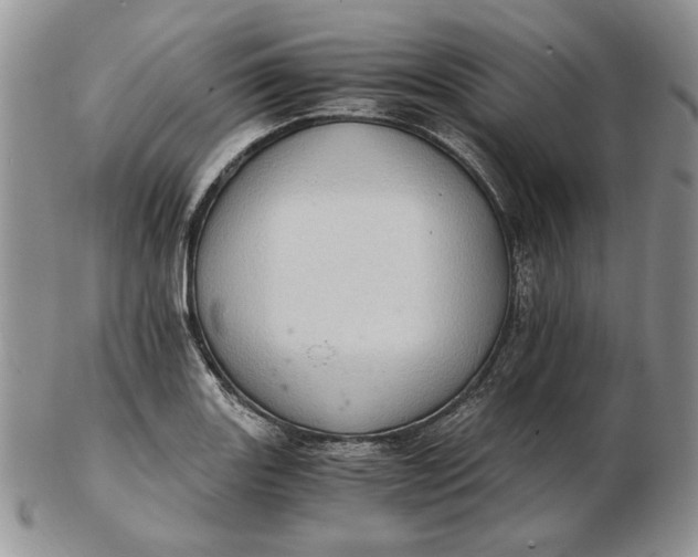 X0000102761131200809021002