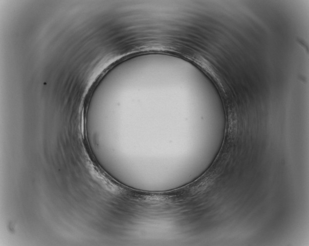 X0000102761132200809021002