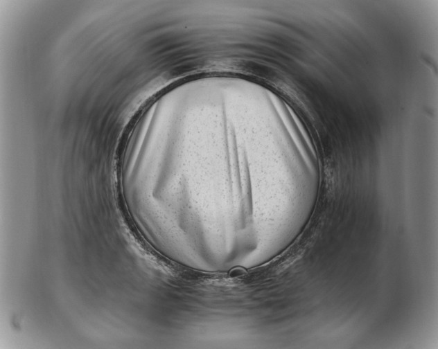 X0000102761133200809021002