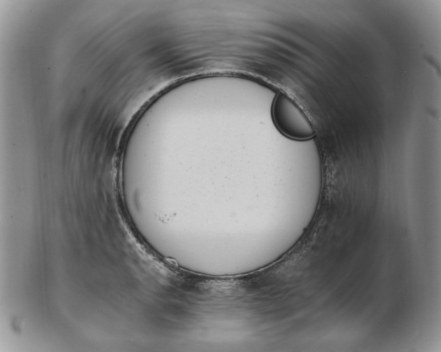 X0000102761134200809021002