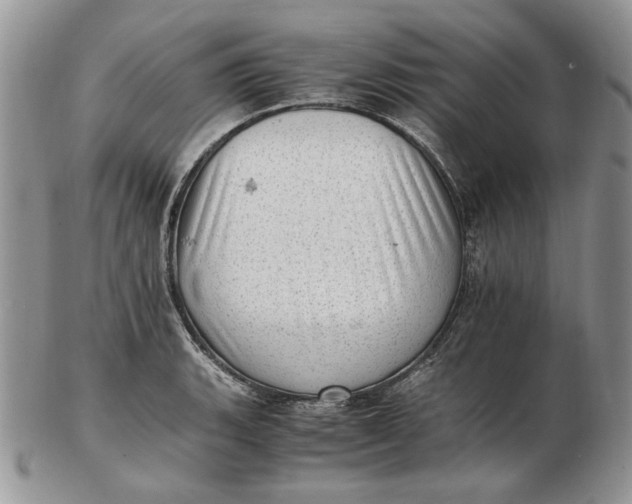 X0000102761135200809021002