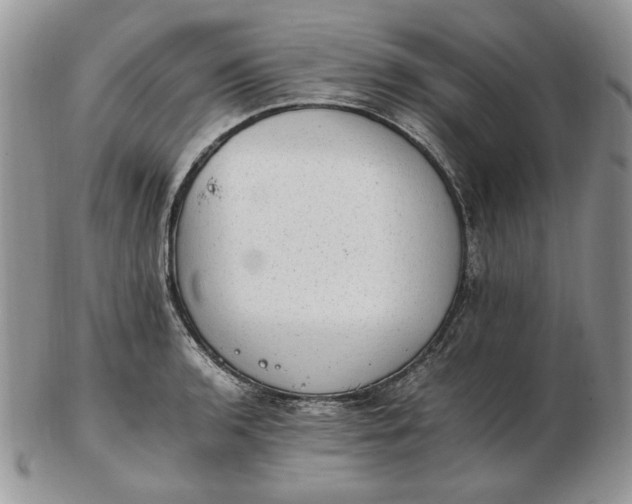 X0000102761136200809021002