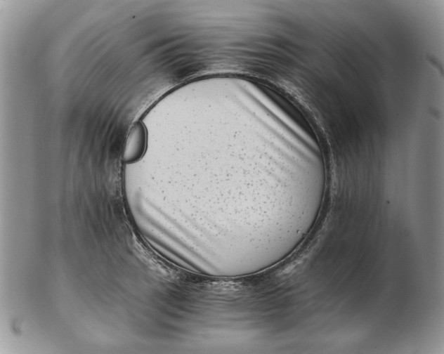 X0000102761137200809021002