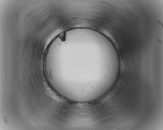 X0000102761138200809021002