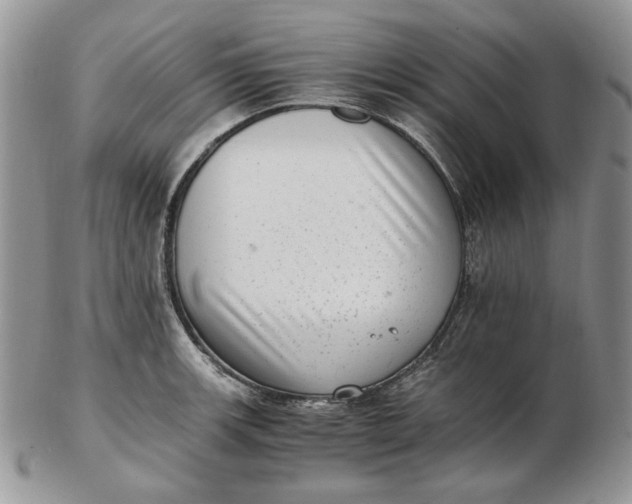 X0000102761139200809021002